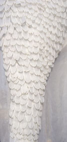 Xue-Feng Chen
